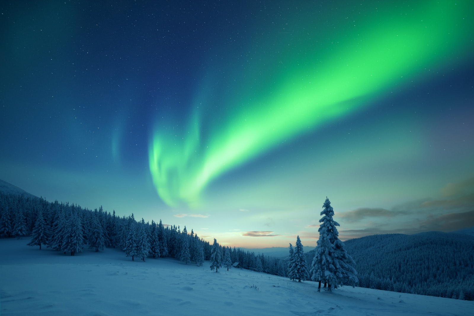 Northern lights over a snow-covered Arctic forest at dusk